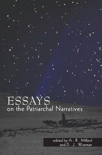 Cover image for Essays on the Patriarchal Narratives