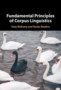 Cover image for Fundamental Principles of Corpus Linguistics