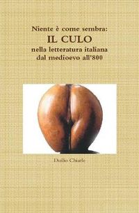 Cover image for Niente e come sembra: IL CULO nella letteratura italiana dal medioevo all'800