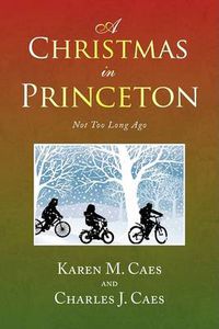 Cover image for A Christmas in Princeton