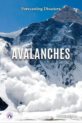 Cover image for Avalanches