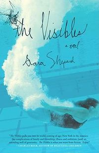 Cover image for Visibles