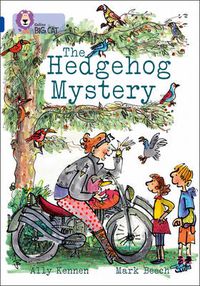 Cover image for The Hedgehog Mystery: Band 16/Sapphire