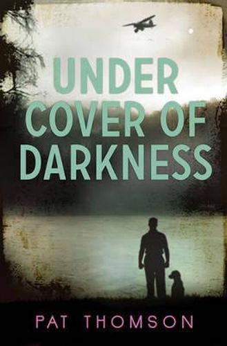 Cover image for Under Cover of Darkness