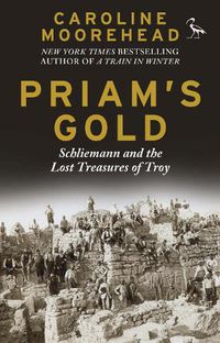 Cover image for Priam's Gold: Schliemann and the Lost Treasures of Troy