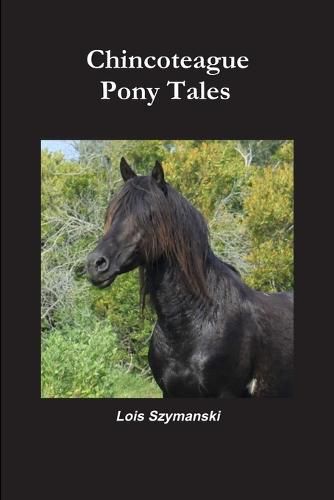 Cover image for Chincoteague Pony Tales