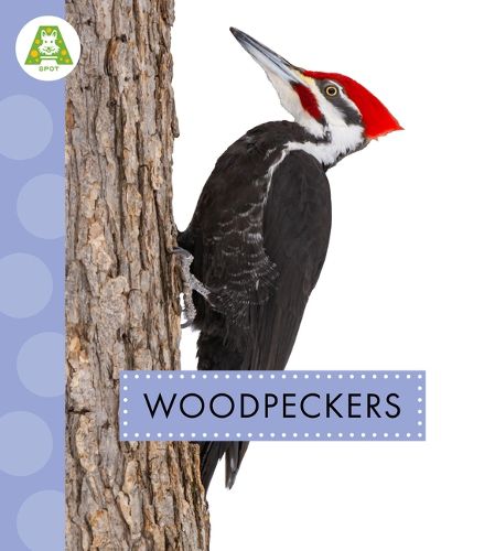 Cover image for Woodpeckers