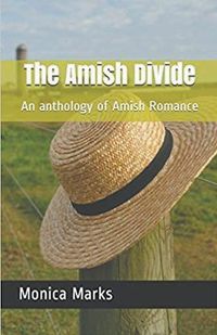 Cover image for The Amish Divide An Anthology of Amish Romance