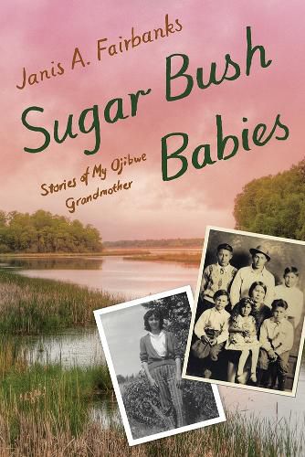 Cover image for Sugar Bush Babies