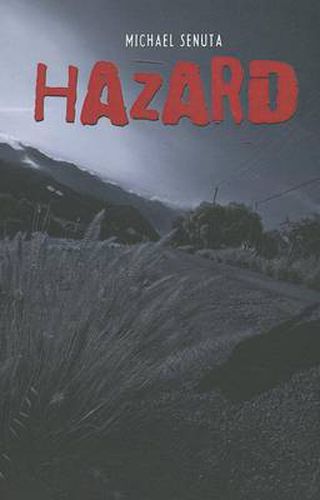 Cover image for Hazard