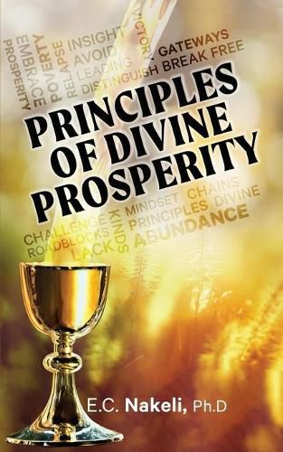 Cover image for Principles of Divine Prosperity