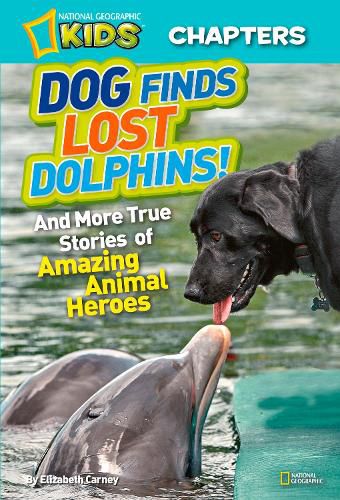 Cover image for Dog Finds Lost Dolphins!: And More True Stories of Amazing Animal Heroes