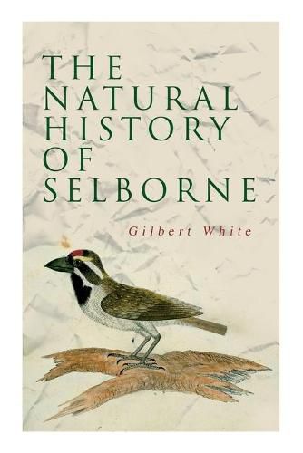 Cover image for The Natural History of Selborne