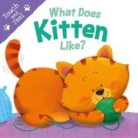 Cover image for What Does Kitten Like: Touch & Feel Board Book