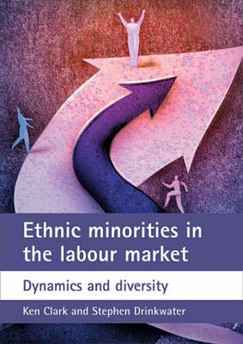 Cover image for Ethnic minorities in the labour market: Dynamics and diversity