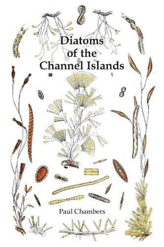 Diatoms of the Channel Islands