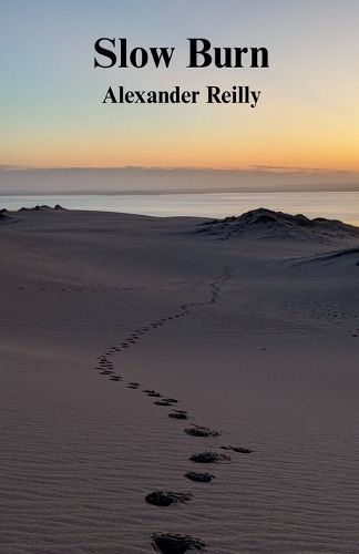 Cover image for Slow Burn