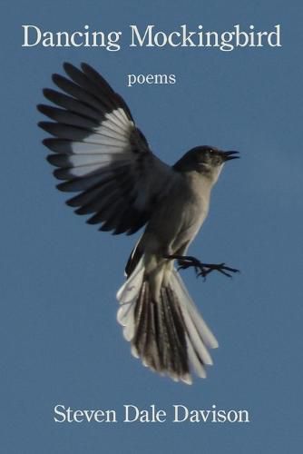 Cover image for Dancing Mockingbird