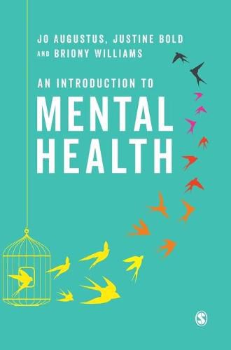 Cover image for An Introduction to Mental Health