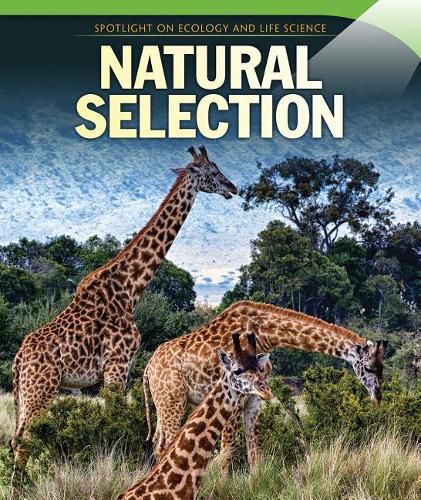 Cover image for Natural Selection