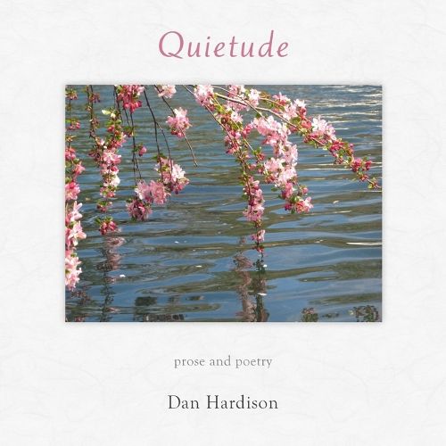 Cover image for Quietude