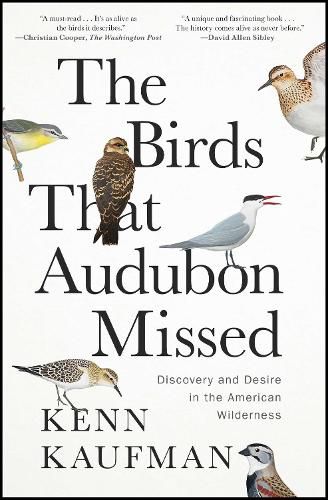 Cover image for The Birds That Audubon Missed