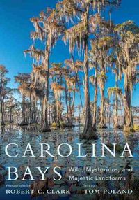 Cover image for Carolina Bays: Wild, Mysterious, and Majestic Landforms