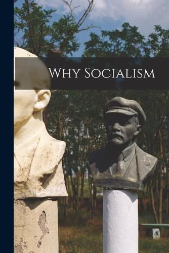 Cover image for Why Socialism