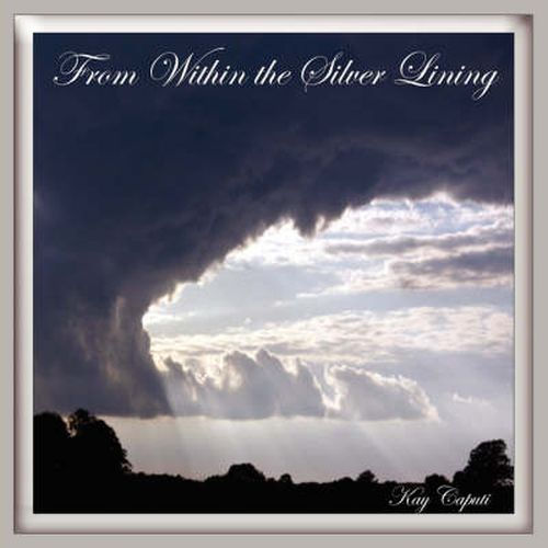 Cover image for From Within the Silver Lining