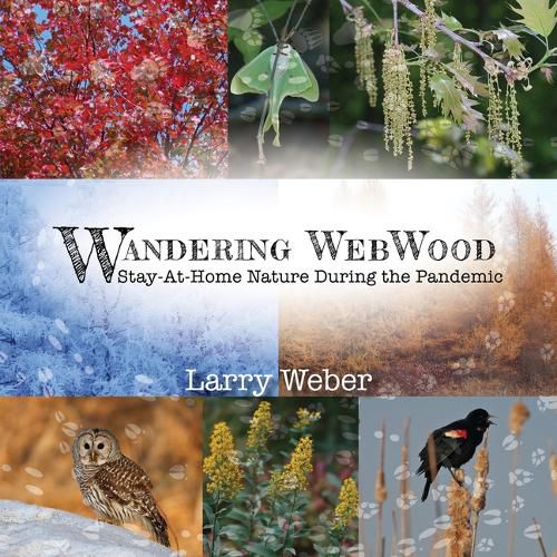 Wandering Webwood