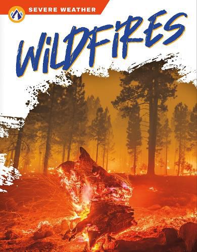 Cover image for Severe Weather: Wildfires