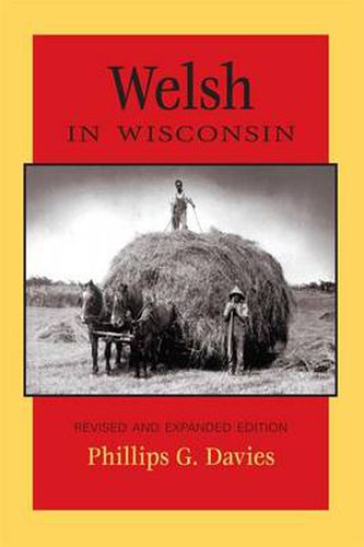 Cover image for Welsh in Wisconsin