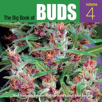 Cover image for The Big Book Of Buds Volume 4