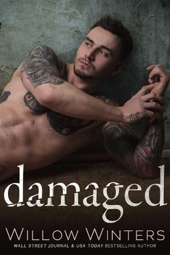 Cover image for Damaged