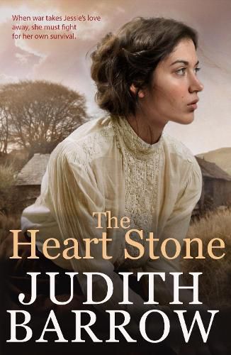 Cover image for The Heart Stone