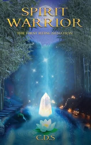 Cover image for Spirit Warrior