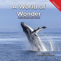 Cover image for A World of Wonder: A Child's Interactive Book of Wonder