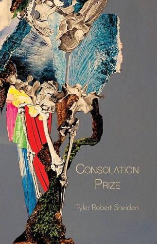 Cover image for Consolation Prize