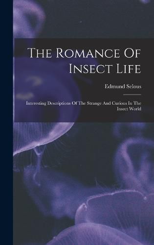 Cover image for The Romance Of Insect Life