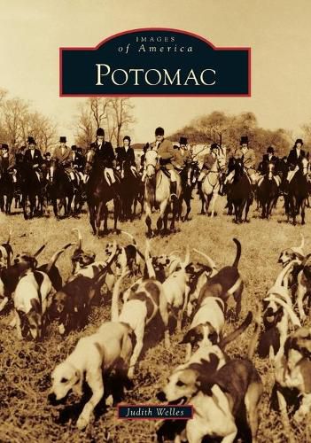 Cover image for Potomac