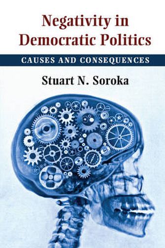 Cover image for Negativity in Democratic Politics: Causes and Consequences