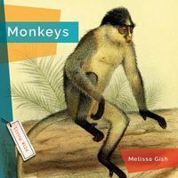 Cover image for Monkeys