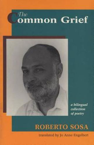 Cover image for The Common Grief