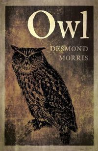 Cover image for Owl
