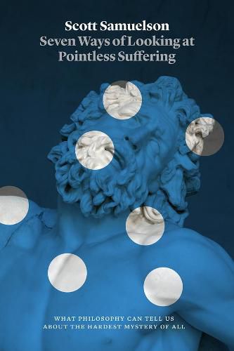 Cover image for Seven Ways of Looking at Pointless Suffering: What Philosophy Can Tell Us about the Hardest Mystery of All