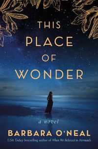 Cover image for This Place of Wonder: A Novel