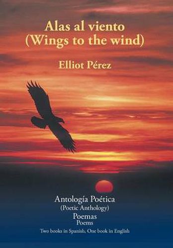 Cover image for Alas Al Viento (Wings to the Wind)