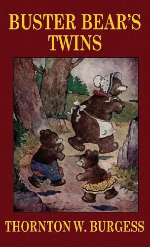 Cover image for Buster Bear's Twins