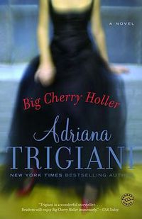 Cover image for Big Cherry Holler: A Novel