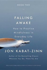 Cover image for Falling Awake: How to Practice Mindfulness in Everyday Life
